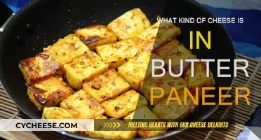 Butter Paneer: Unraveling the Cheese Within