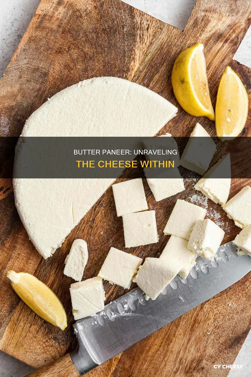 what kind of cheese is in butter paneer