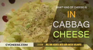 Cabbage Cheese: What's Inside This Unique Dish?