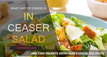 The Cheeses in a Classic Caesar Salad