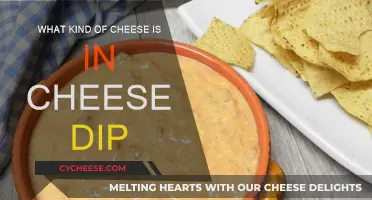 Cheese Dip: What's the Melted Magic?