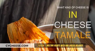 Cheese Tamales: What's the Best Cheese Filling?