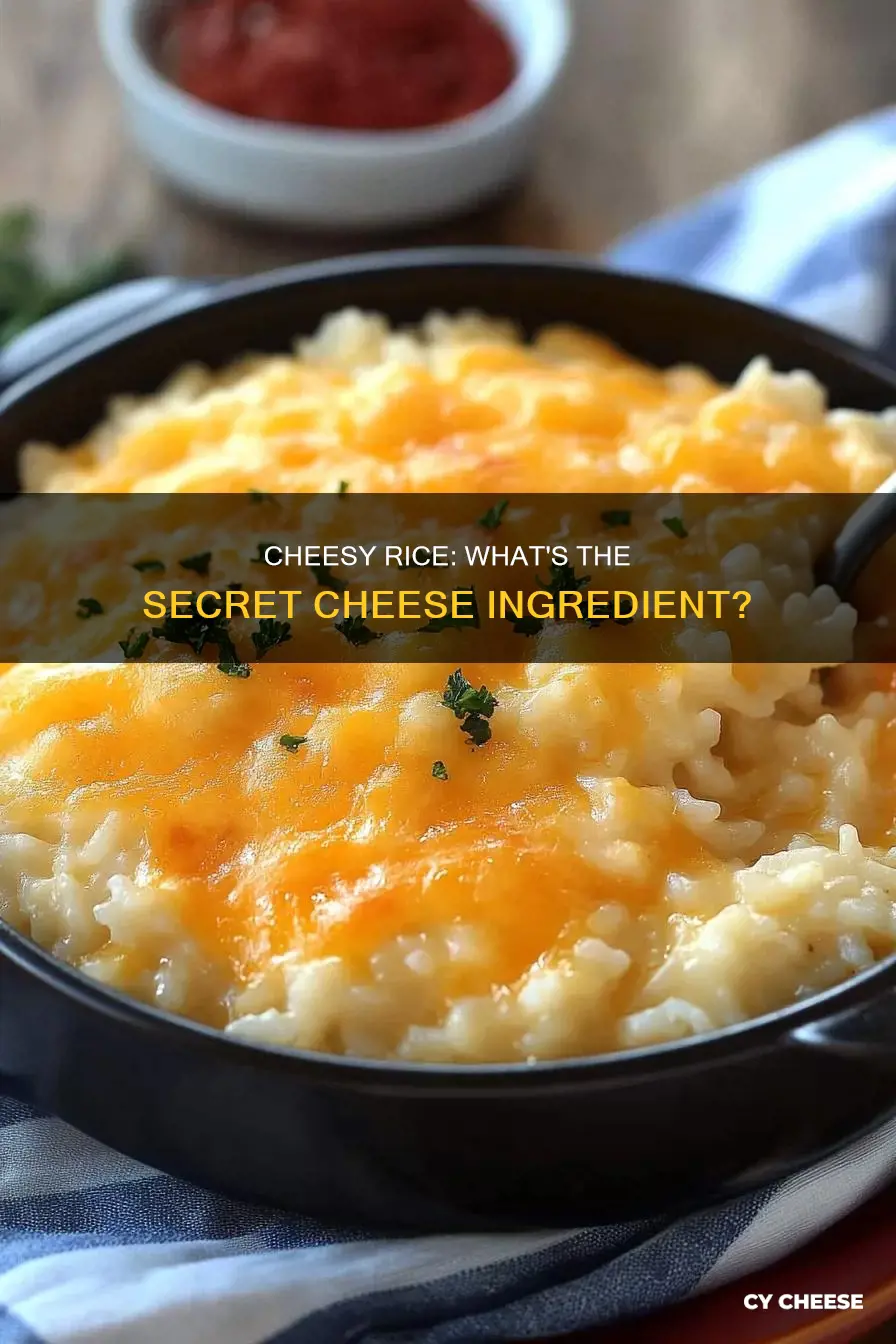 what kind of cheese is in cheesy rice