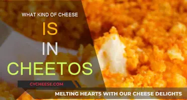 Cheetos' Cheese: What's the Secret Sauce?