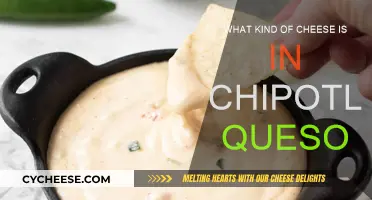 Chipotle Queso: Unraveling the Mystery Cheese Blend