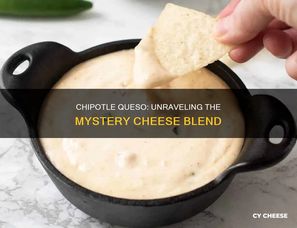 what kind of cheese is in chipotle queso