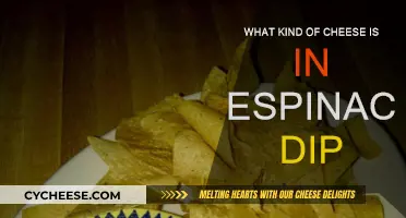 Espinaca Dip: What Cheese Makes It So Good?