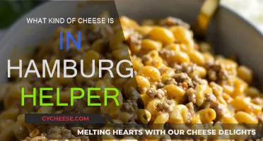 Cheese Secrets: Hamburger Helper's Cheesy Success