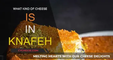 Cheese in Knafeh: Exploring the Traditional Levantine Dessert