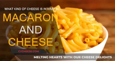 Kraft Macaroni and Cheese: What's the Secret Cheese?