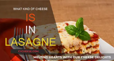 Lasagne's Cheesy Affair: Types and Textures Explored