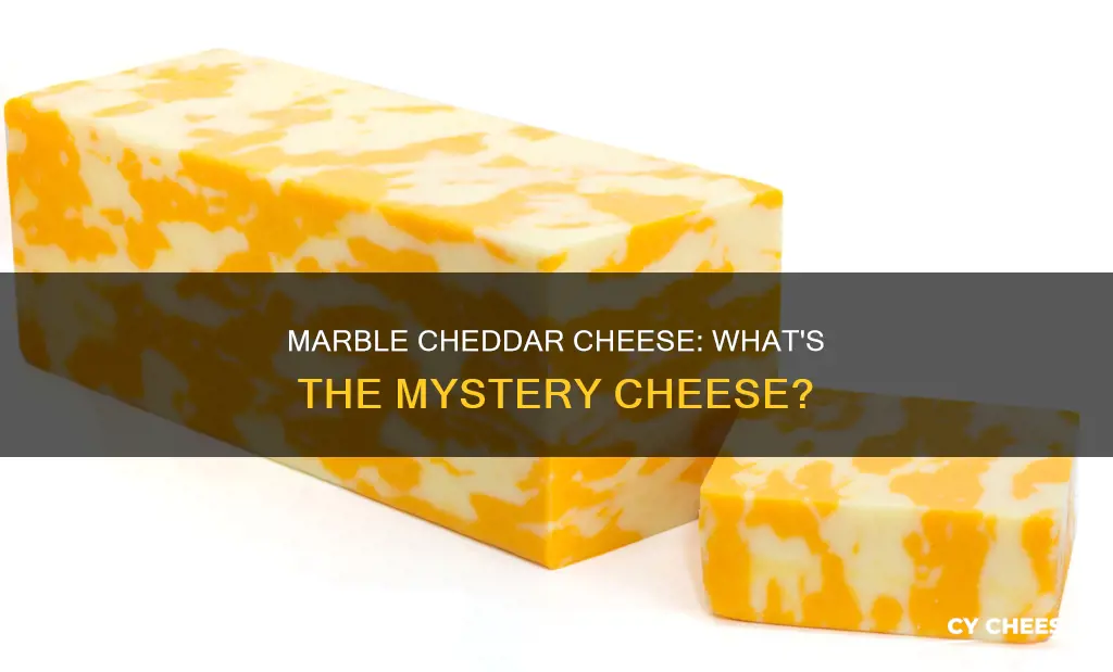 what kind of cheese is in marble cheddar cheese