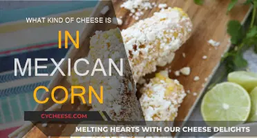 Cheese and Corn: Mexican Street Food Secrets