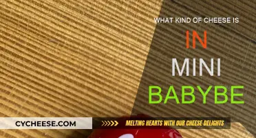 The Mystery of Mini Babybel's Cheese Unveiled