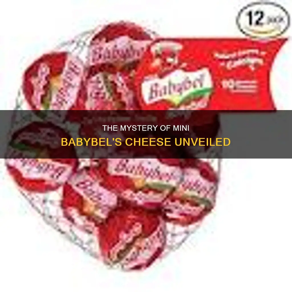 what kind of cheese is in mini babybel