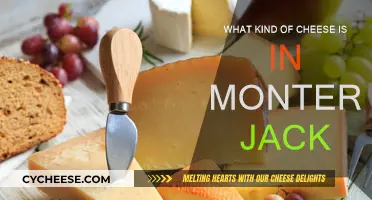 Monterey Jack: A Guide to Its Cheesy Origins