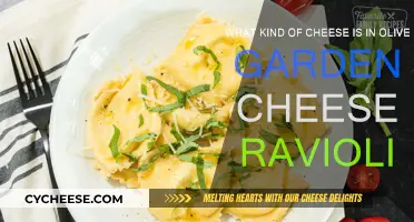 Olive Garden's Cheese Ravioli: What's the Secret Cheese?