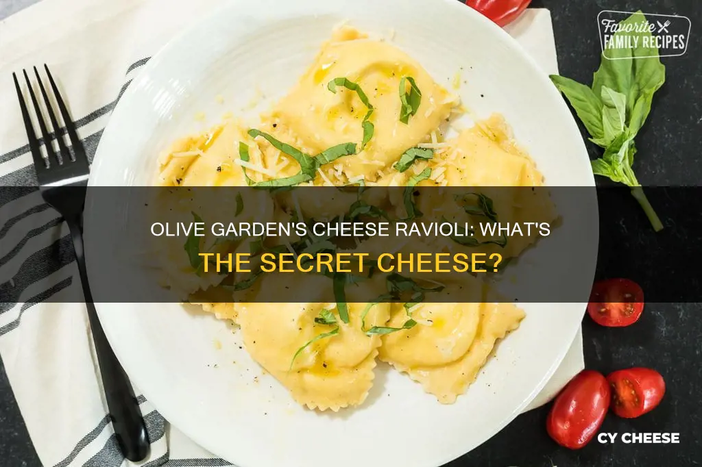 what kind of cheese is in olive garden cheese ravioli