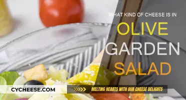 Olive Garden's Salad Cheese: What's the Secret?