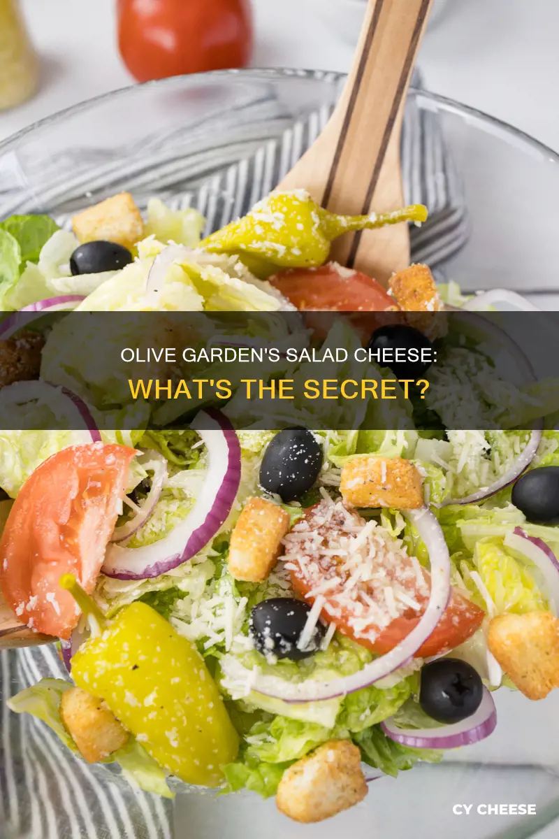 what kind of cheese is in olive garden salad