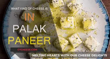 Paneer: The Star of Palak Paneer, Explained