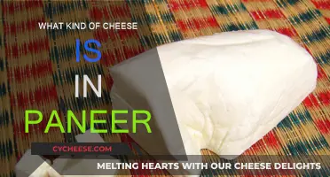 The Mystery Behind Paneer's Cheesy Texture Unveiled