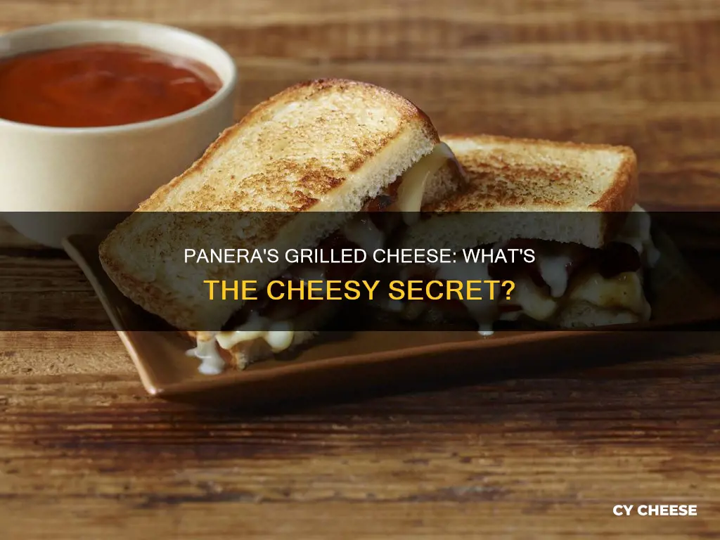 what kind of cheese is in panera grilled cheese