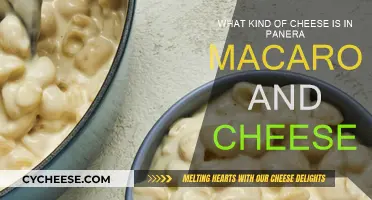 Panera's Mac and Cheese: What's the Cheesy Secret?