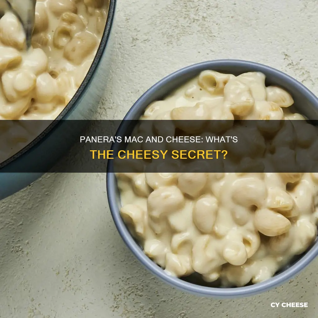 what kind of cheese is in panera macaroni and cheese