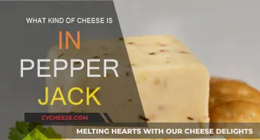 Pepper Jack Cheese: A Spicy Blend of Monterey Jack