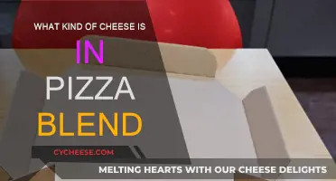 The Cheeses in Pizza Blend: A Detailed Overview