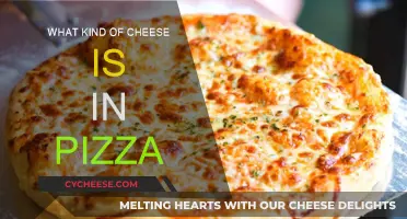 Cheese on Pizza: Mozzarella and More!