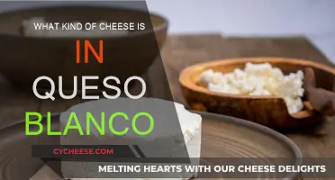 Queso Blanco: What Cheeses Make This Dish?