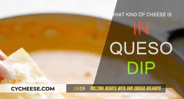 Cheese in Queso: Exploring the Melty, Cheesy Dip