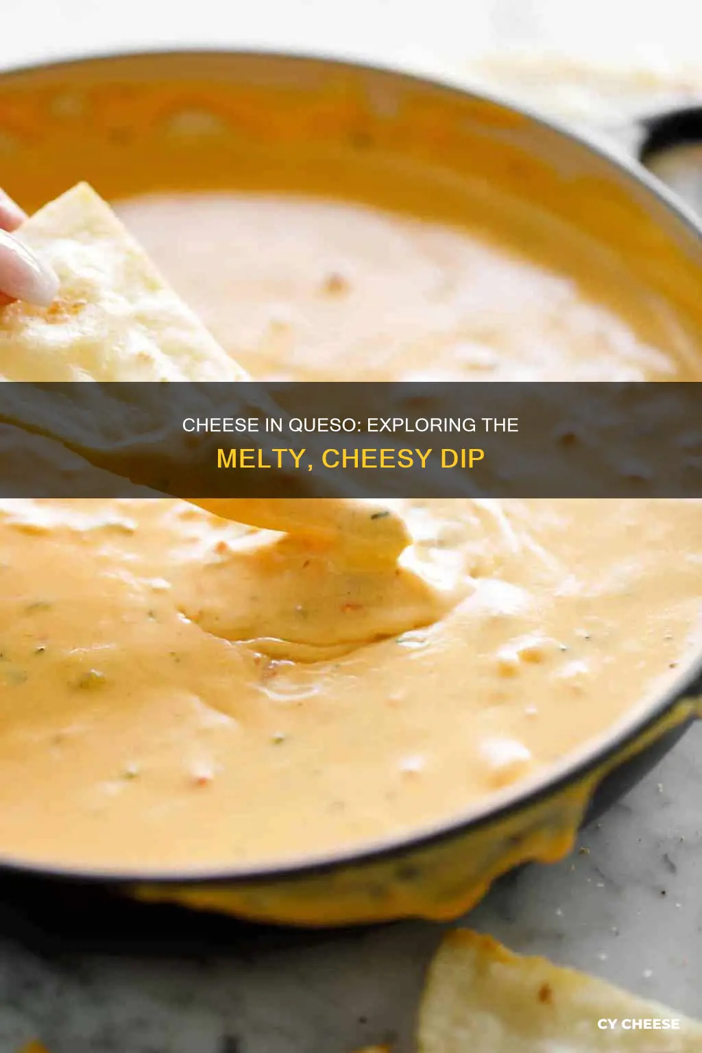 what kind of cheese is in queso dip