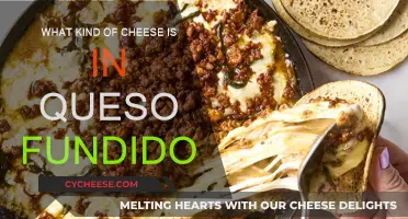 Cheese Pull: What's Melting in Queso Fundido?