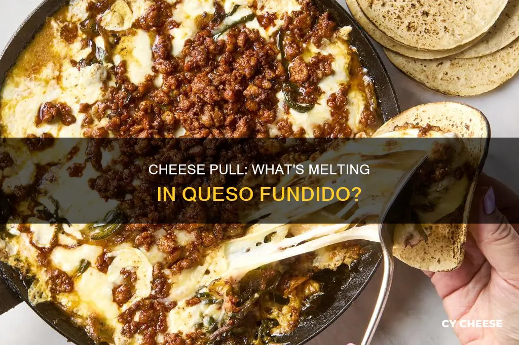 what kind of cheese is in queso fundido