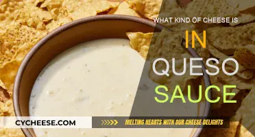 Cheese in Queso Sauce: Exploring the Melty Magic