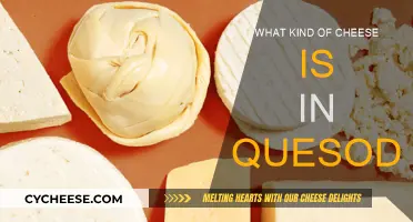 Cheese in Quesadillas: Know Your Melty Fillings