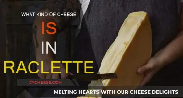 Raclette Cheese: A Swiss Classic, Explained