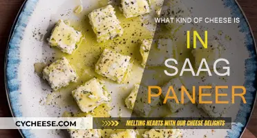 Cheese in Saag Paneer: Indian Delicacy's Star Ingredient