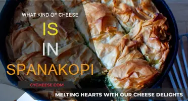 Cheese Choices for Spanakopita: A Guide