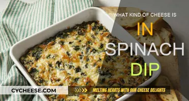 Spinach Dip: What Cheeses Make It Delicious?