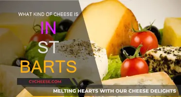 St. Barts' Cheese Delights: Exploring Local Favorites