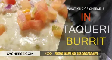 Taqueria Burritos: What's the Cheesy Secret?