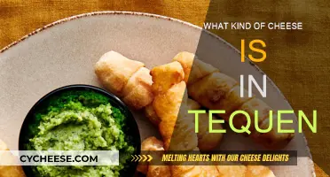 Cheese Choices: Tequenos and Their Filling