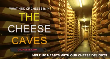 The Mystery of Cheese Cave's Delicious Secrets