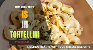 Tortellini's Cheesy Secret: What's Inside?