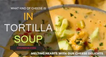 Cheese in Tortilla Soup: What's the Perfect Match?