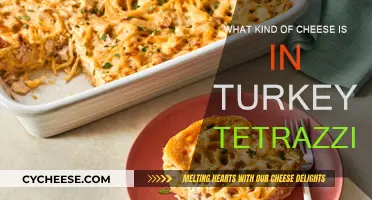 Turkey Tetrazzini: What Cheeses Make It So Delicious?